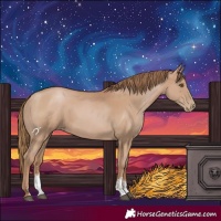 Horse Color:Black Pearl Sabino