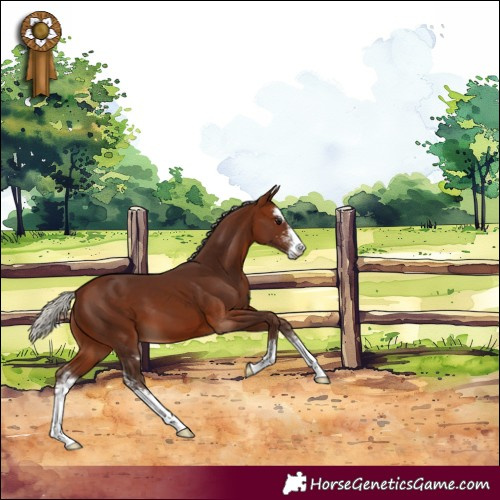 Horse Color:Silver Bay Sabino 