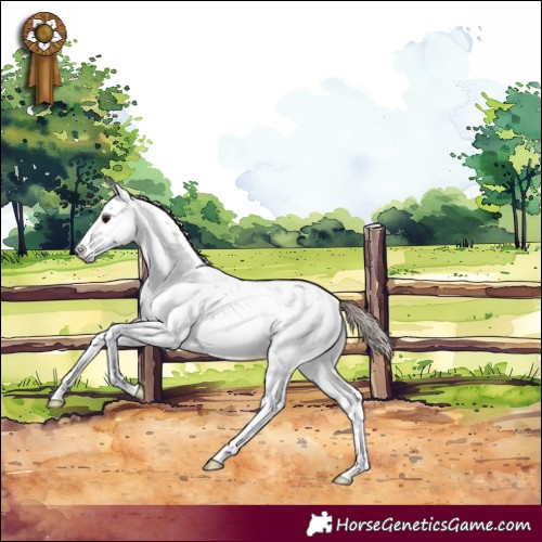 Horse Color:Buckskin Dun Sabino Near Leopard Rabicano 
