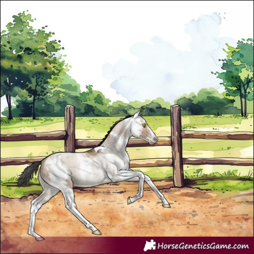 Horse Color:Gray Sable Champagne Dun Sabino 