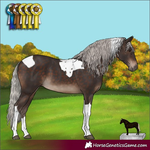 Horse Color:Silver Brown Tobiano 