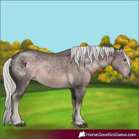 Horse Color:Platinum Chocolate Palomino Rabicano