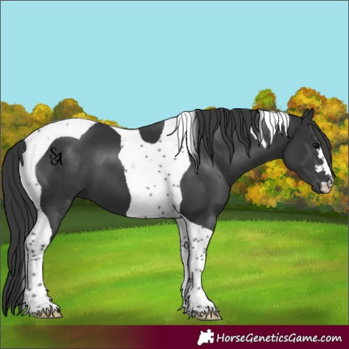 Horse Color:Platinum Black Tobiano 