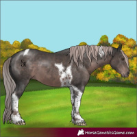 Horse Color:Platinum Liver Chestnut Tobiano 