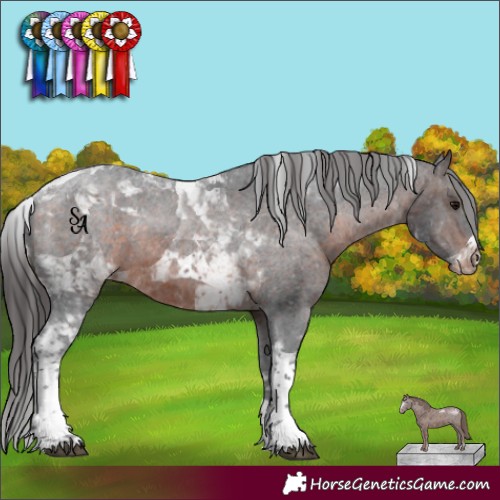Horse Color:Brown Tobiano Appaloosa 