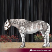 Horse Color:Platinum Liver Chestnut Sabino Splash Appaloosa Rabicano 