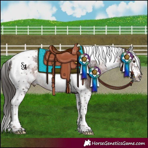 Horse Color:Platinum Liver Chestnut Tobiano Frame 