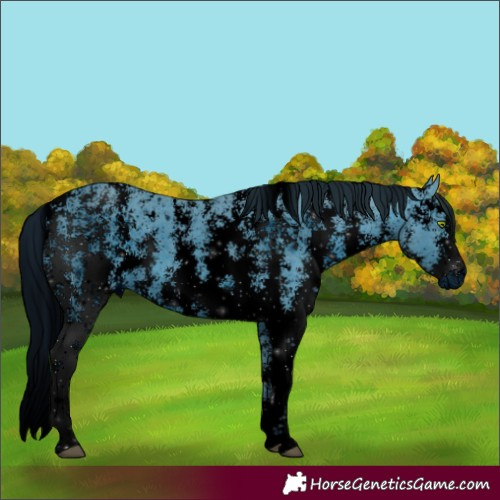 Horse Color:ERROR: UNKNOWN ANOMALY