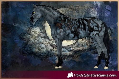 Horse Color:ERROR: UNKNOWN ANOMALY