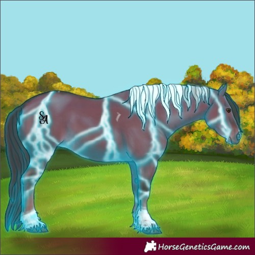 Horse Color:Thunderstruck Liver Red Dun Tobiano 