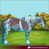 Horse Color:Thunderstruck Liver Red Dun Tobiano