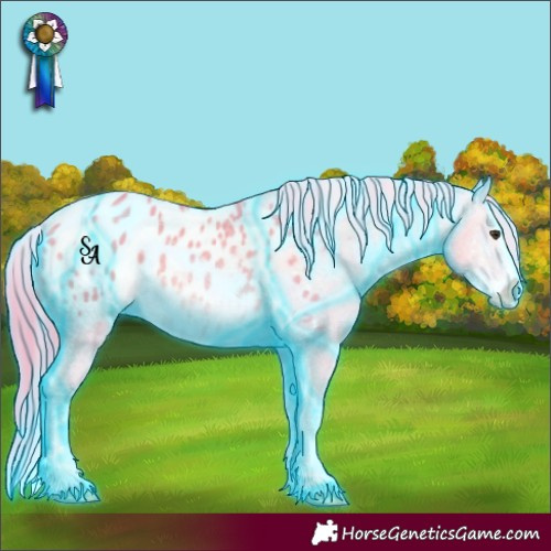Horse Color:Thunderstruck Watercolor Red Dun Splash Appaloosa 