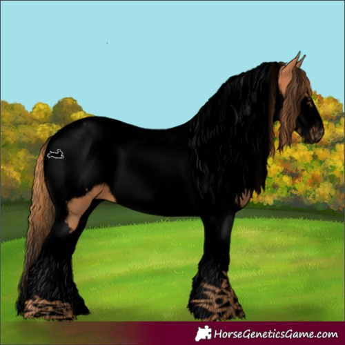 Horse Color:Void Chestnut Tobiano Frame 