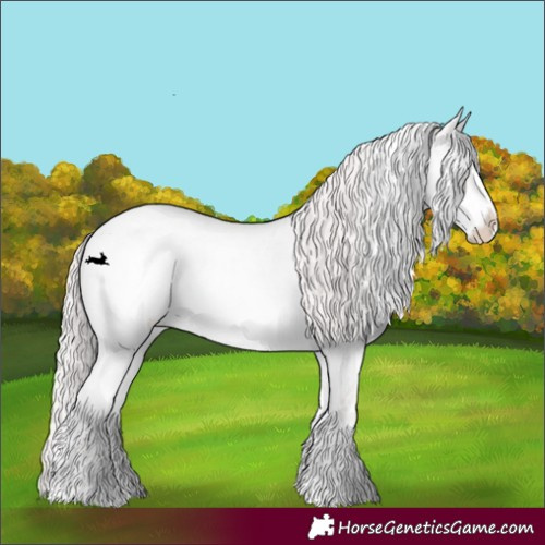 Horse Color:Platinum White Spotted Perlino Roan 