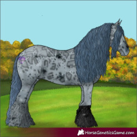 Horse Color:ERROR: UNKNOWN ANOMALY