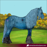 Horse Color:ERROR: UNKNOWN ANOMALY
