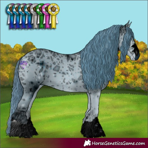 Horse Color:ERROR: UNKNOWN ANOMALY