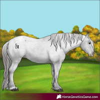 Horse Color:Platinum Black Varnish