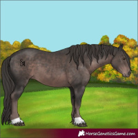 Horse Color:Platinum Liver Chestnut