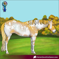Horse Color:Watercolor White Spotted Liver Red Onyx Rabicano 