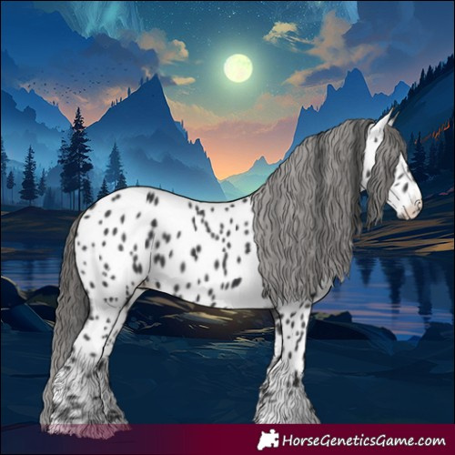 Horse Color:Black Near Leopard 