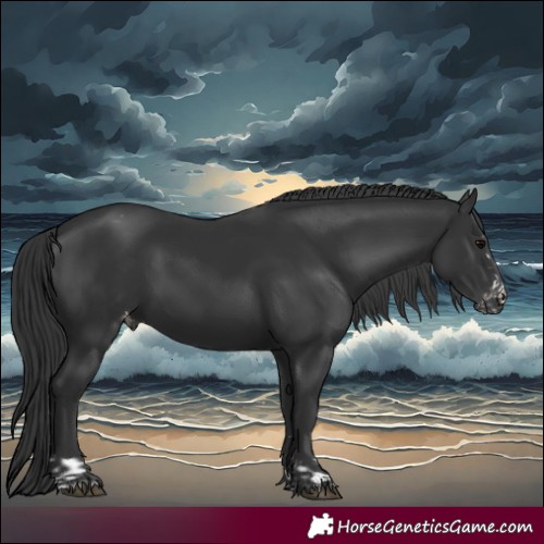 Horse Color:Black Varnish  and Black Varnish 
