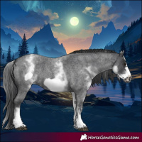 Horse Color:White Spotted Blue Roan Frame 