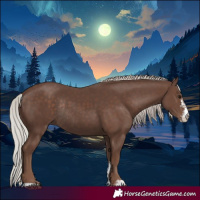 Horse Color:Silver Black Sabino Rabicano 