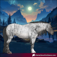 Horse Color:Black Tobiano  and Blue Roan 