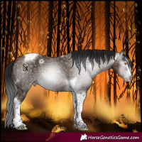 Horse Color:Gray Amber Champagne Ice Tobiano