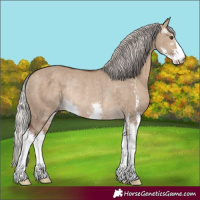 Horse Color:Silver Brown Dun Sabino Rabicano
