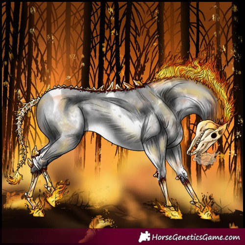 Horse Color:Painted Silver Bay Chinchilla Tobiano 