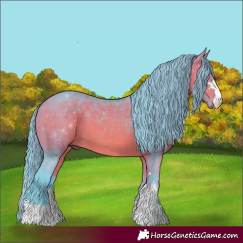 Horse Color:Painted Watercolor Bay 