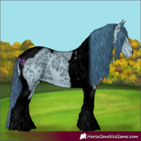 Horse Color:ERROR: UNKNOWN ANOMALY