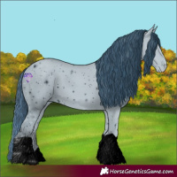 Horse Color:ERROR: UNKNOWN ANOMALY