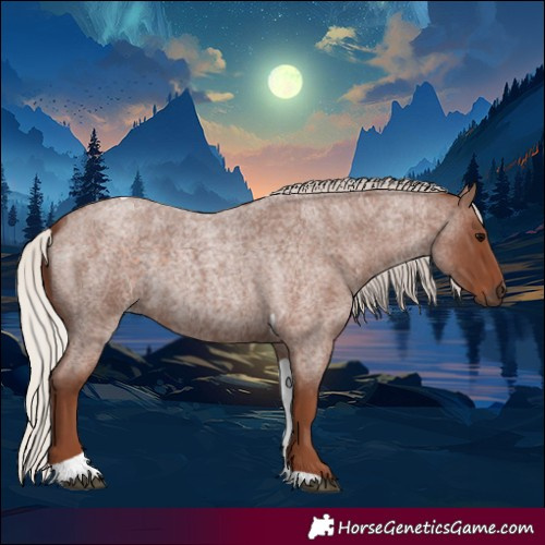 Horse Color:Silver Blue Roan Tobiano 