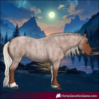 Horse Color:Silver Blue Roan Tobiano 