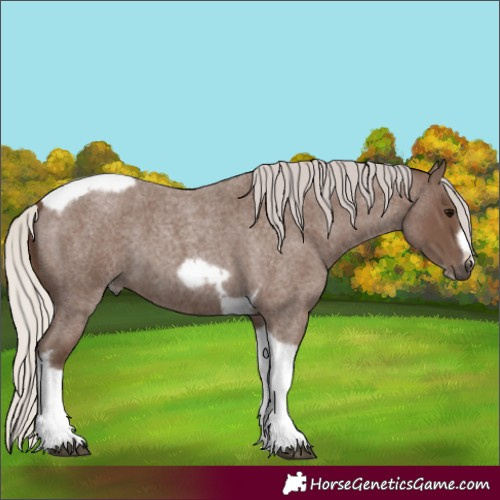 Horse Color:Silver Blue Roan Tobiano Frame