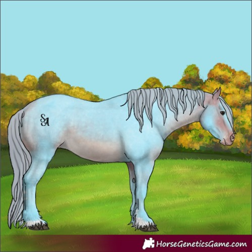 Horse Color:Watercolor Buckskin Mushroom Appaloosa 