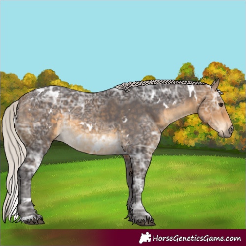 Horse Color:White Spotted Silver Buckskin Ice Rabicano