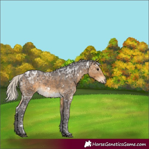 Horse Color:White Spotted Silver Buckskin Ice Rabicano 