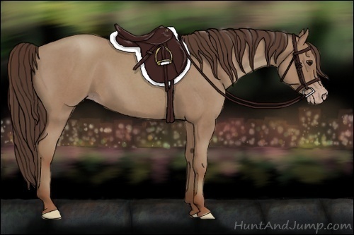 Horse Color:Classic Champagne Roan 