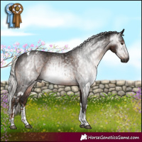 Horse Color:Gray White Spotted Liver Chestnut Tobiano Rabicano  and Gray White Spotted Silver Brown Tobiano Rabicano 