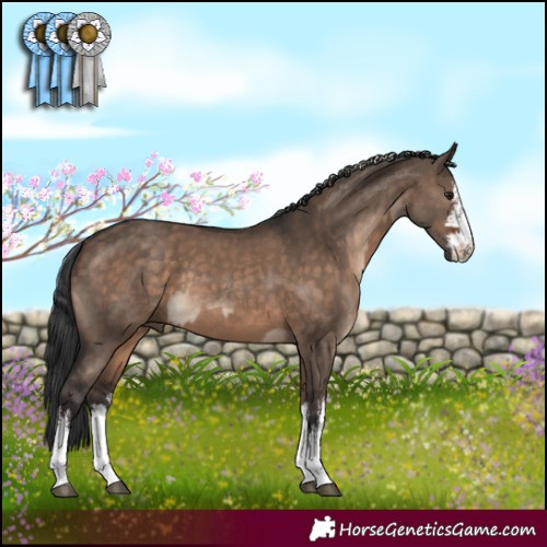 Horse Color:White Spotted Silver Brown Dun Rabicano  and White Spotted Brown Dun Rabicano 