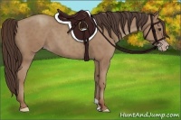 Horse Color:Classic Champagne