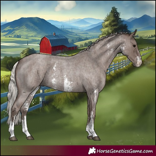Horse Color:Silver Blue Roan Sabino 