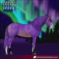 Horse Color:Watercolor White Spotted Brown