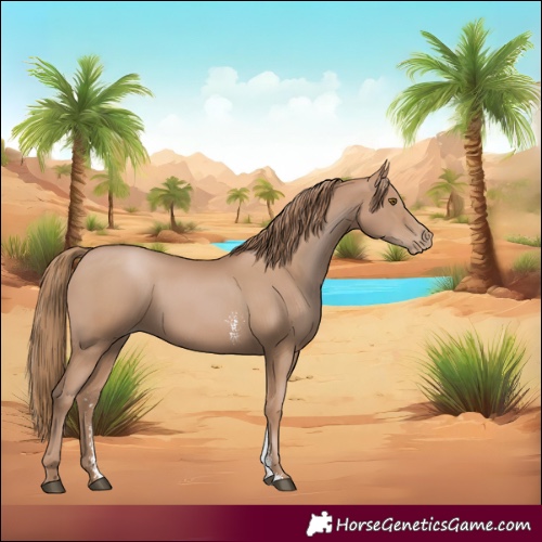 Horse Color:Black Pearl Sabino