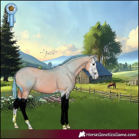 Horse Color:ERROR: UNKNOWN ANOMALY