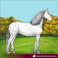 Horse Color:Brown Sabino Varnish